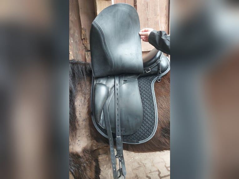 Passier ICE Revolution 17,5" Pony / Island Sattel neuwertig aus Oktober 2024