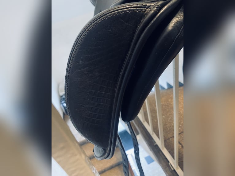 Physioflex Kraftur 16,5 Zoll mit Wollfüllung