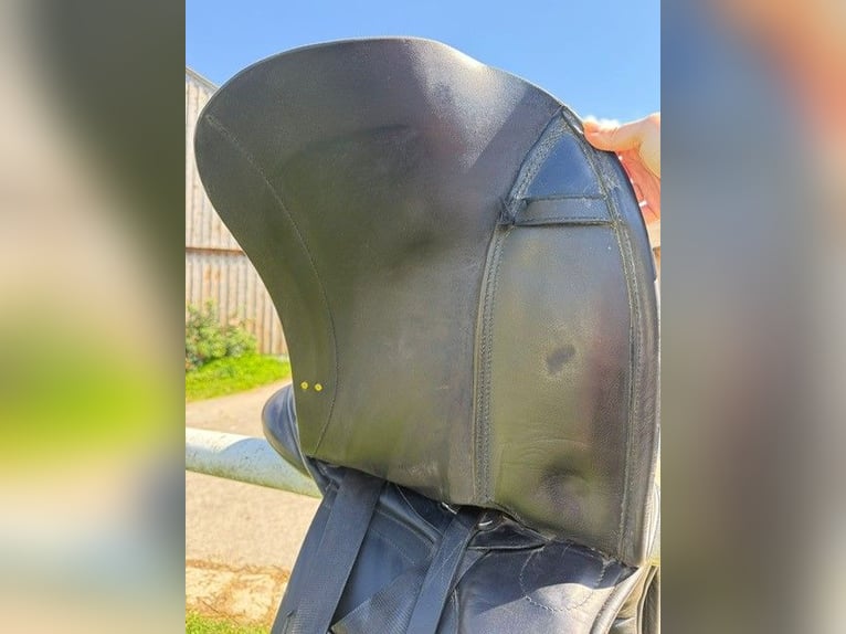 Sattel Astund Victory 17,5 Zoll