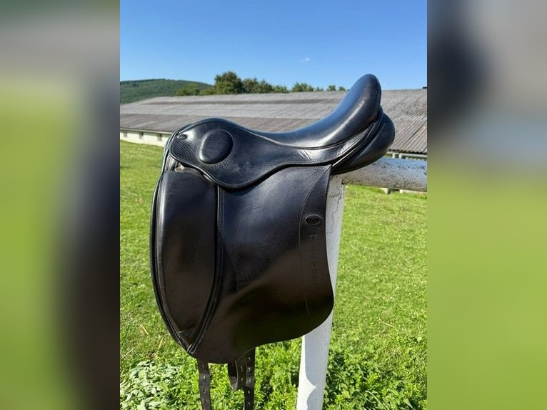 Sattel Astund Victory 17,5 Zoll