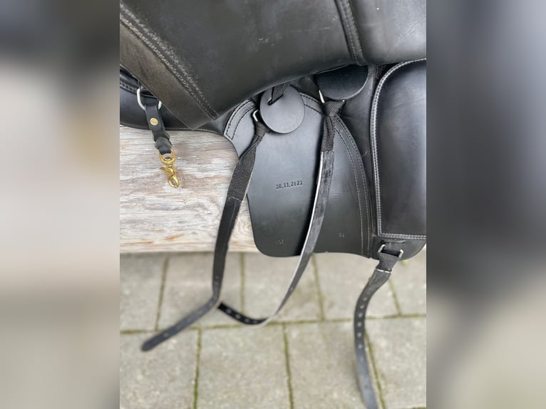 Sattel Hilbar Royal Exklusiv "Keila"  - Islandpferdesattel 