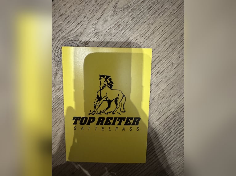 Sattel Isländer/Islandpferd Topreiter Titan Wolle 18 Zoll