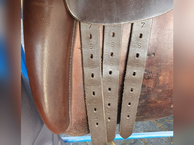 Sattel Sommer Esprit Tölt