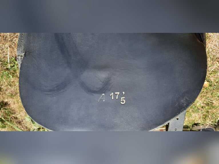 Sattel von Tölthester