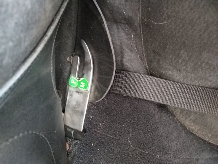 Sattel Wintec Feldmann Tölt Pro Islandpferde