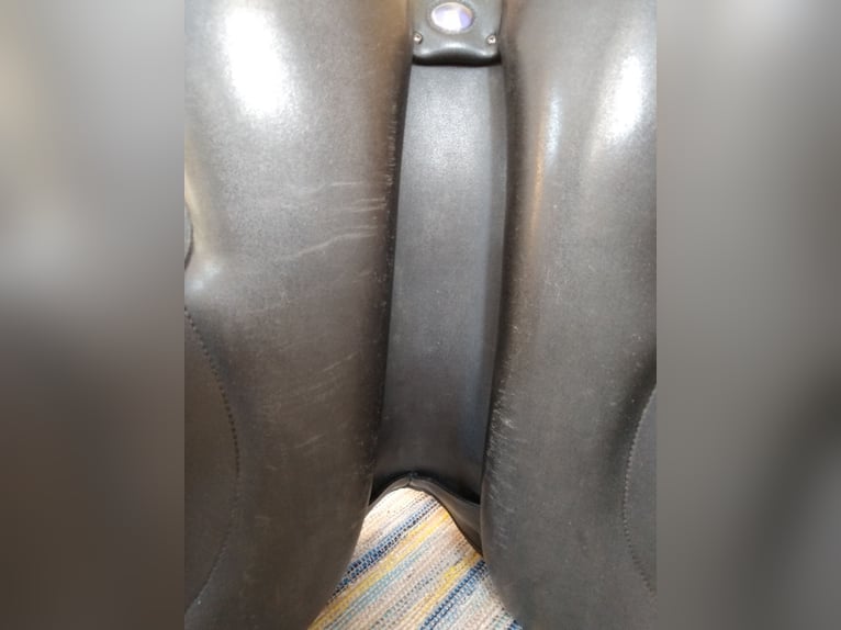 Sattel Wintec Feldmann Tölt Pro Islandpferde