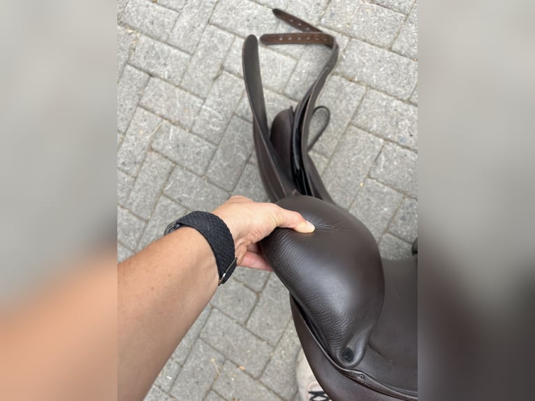 Sommer Somero Gait