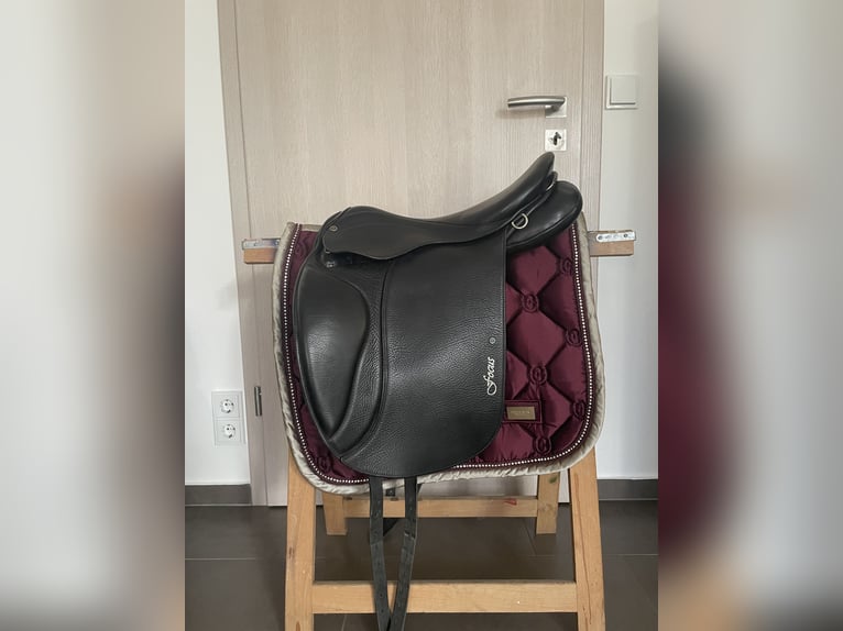 Stübben Focus BH Benni‘s Harmony XW 17,5 Zoll