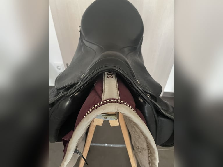 Stübben Focus BH Benni‘s Harmony XW 17,5 Zoll