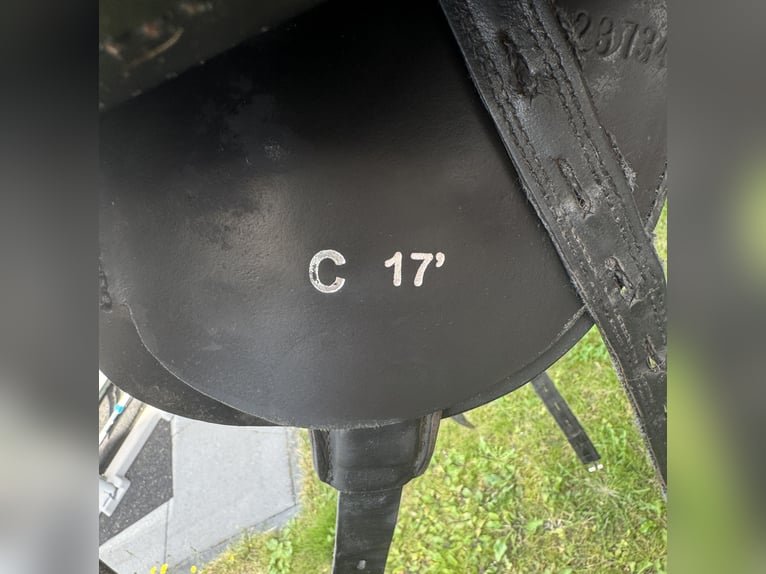 Tøltsaga Sigurd 17 Zoll 