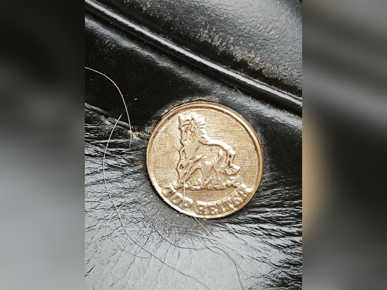 Top Reiter IQ Sattel