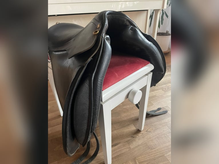 TopReiter Isländersattel