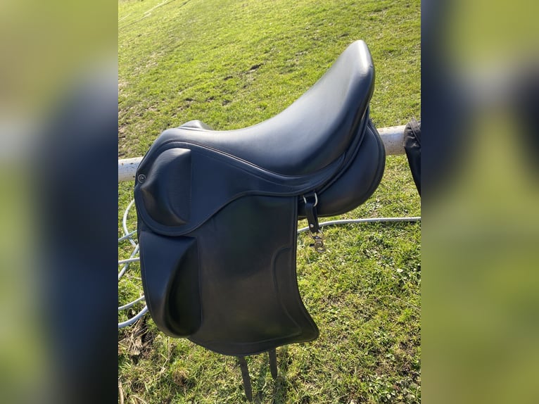 Topreiter Sattel Start Plus 17,5” - wollfüllung