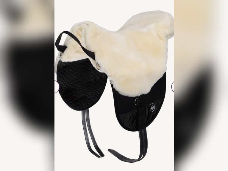  Christ Fellsattel Premium Plus in Größe Shetty/Pony