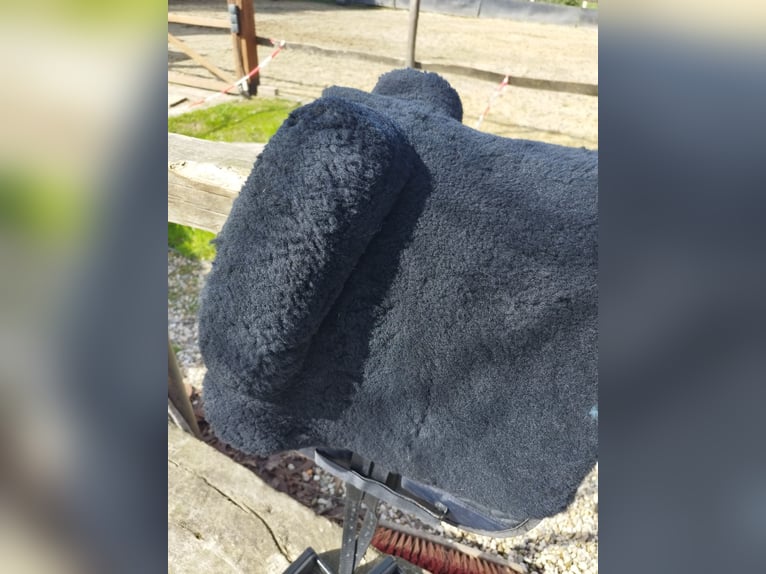 Gepflegter Merino Lammfellsattel, Größe: Full/Warmblut