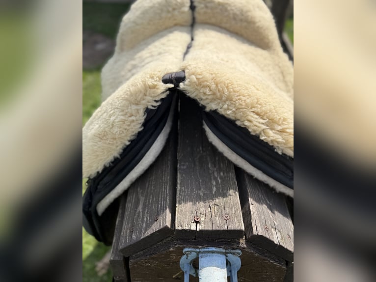 Grandeur Fellsattel Dressur mit Steigbügelaufhängung