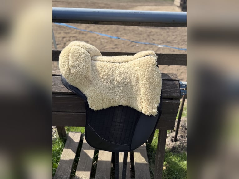 Grandeur Fellsattel Dressur mit Steigbügelaufhängung