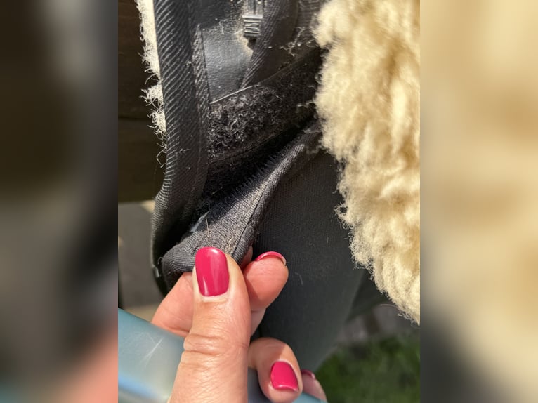 Grandeur Fellsattel Dressur mit Steigbügelaufhängung