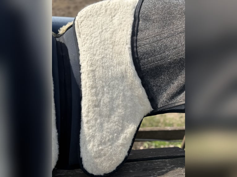 Grandeur Fellsattel Dressur mit Steigbügelaufhängung