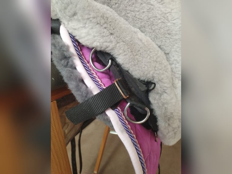 Mattes Lammfellsattel