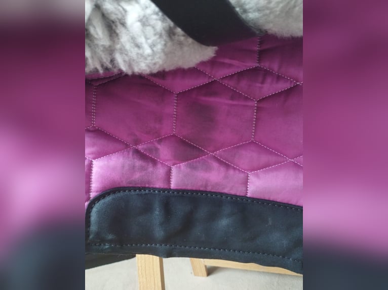 Mattes Lammfellsattel