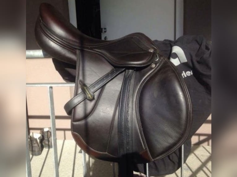 Amerigo Vega Jump Special braun 16“