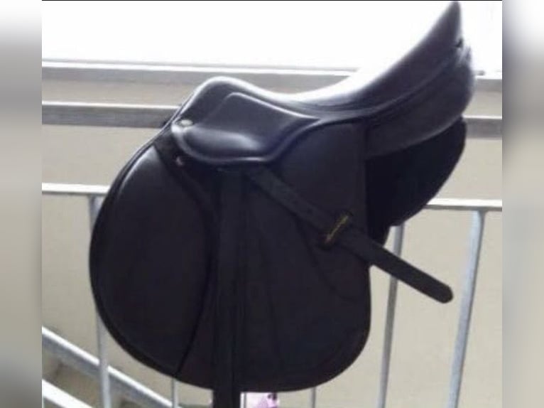 Amerigo Vega Jump Special braun 16“