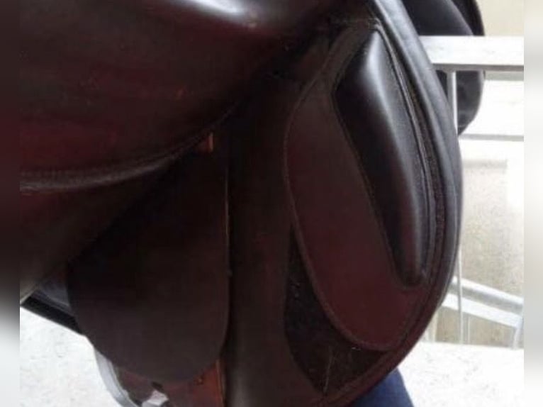 Amerigo Vega Jump Special braun 16“