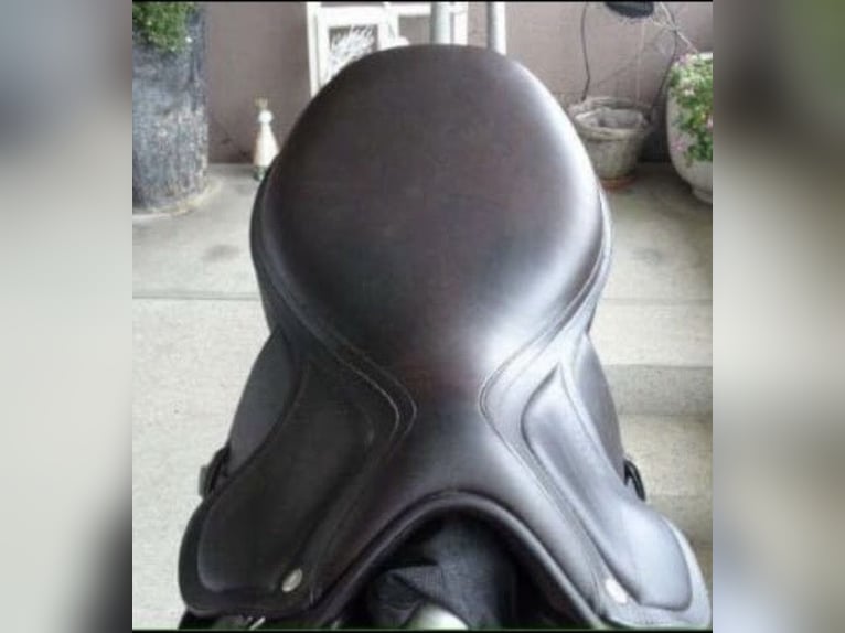 Amerigo Vega Jump Special braun 16“