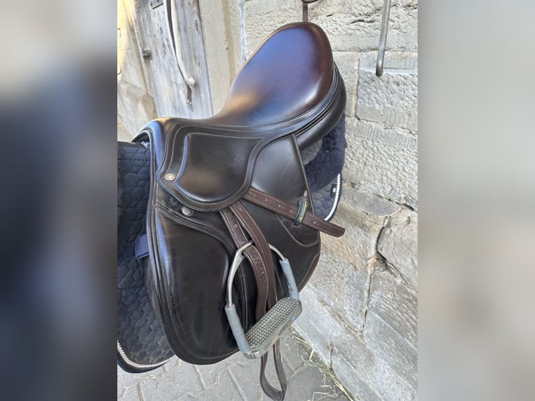 Amerigo Vega Jump Special braun 16“