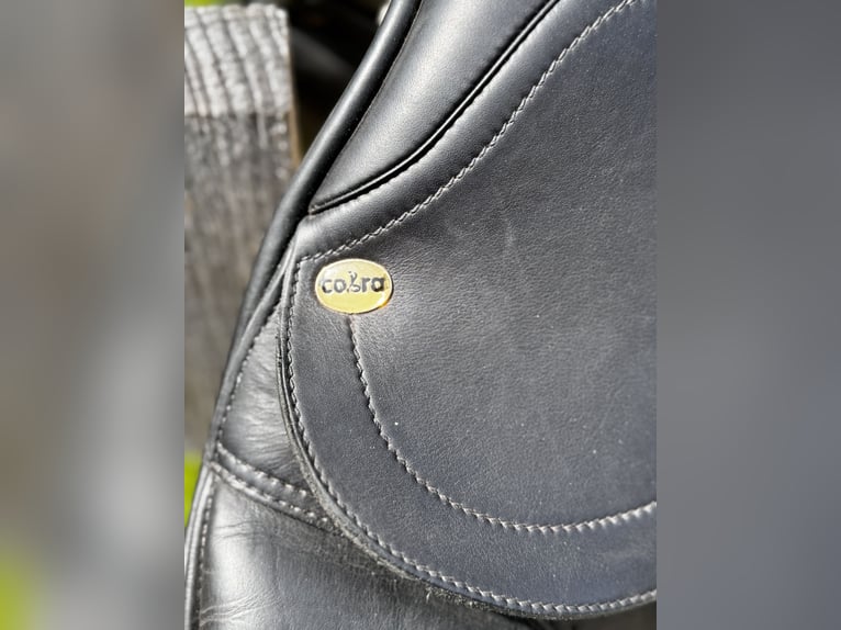 Cobra Dressursattel 16 Zoll