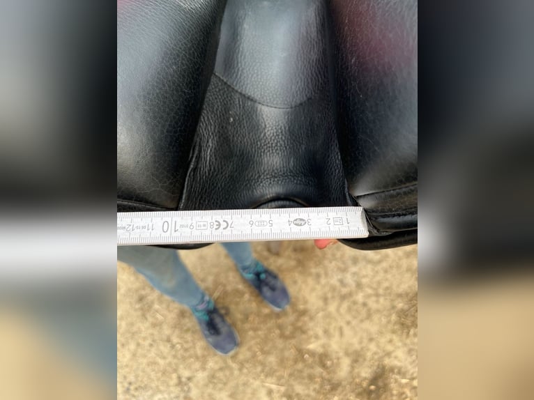 Dressursattel Bates 15 Zoll