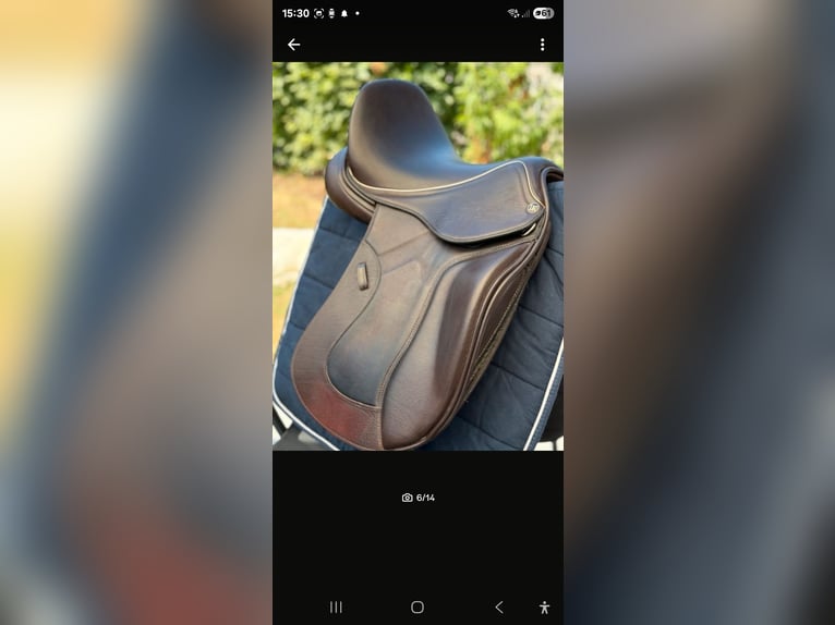 Dressursattel für Sportponys – Premiumqualität