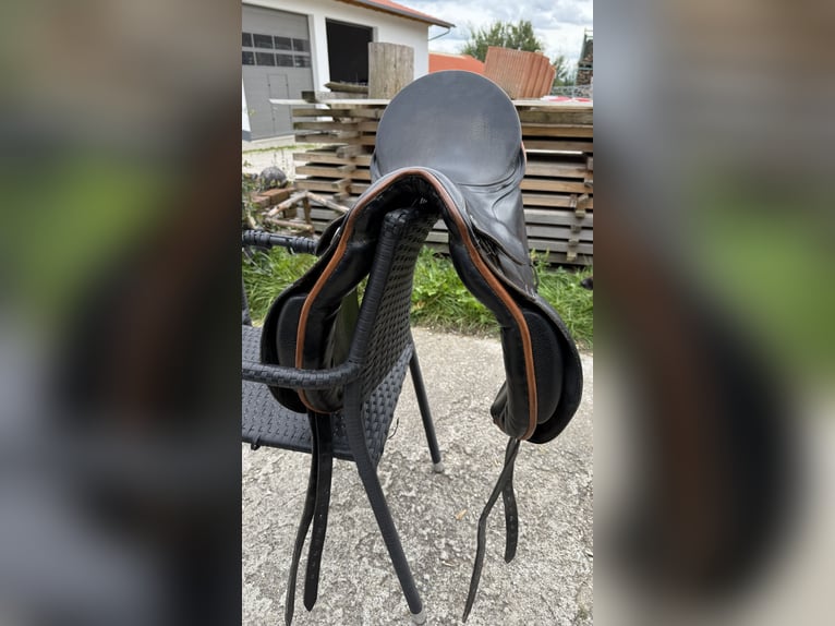 Dressursattel Passier Young Champ 16 Zoll