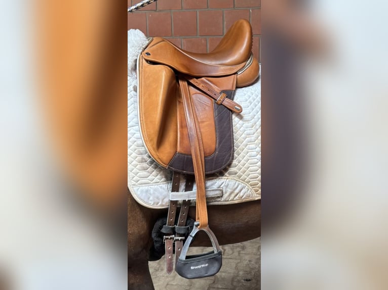 Louisa Koehne Dressursattel Pony Dressur Pferd