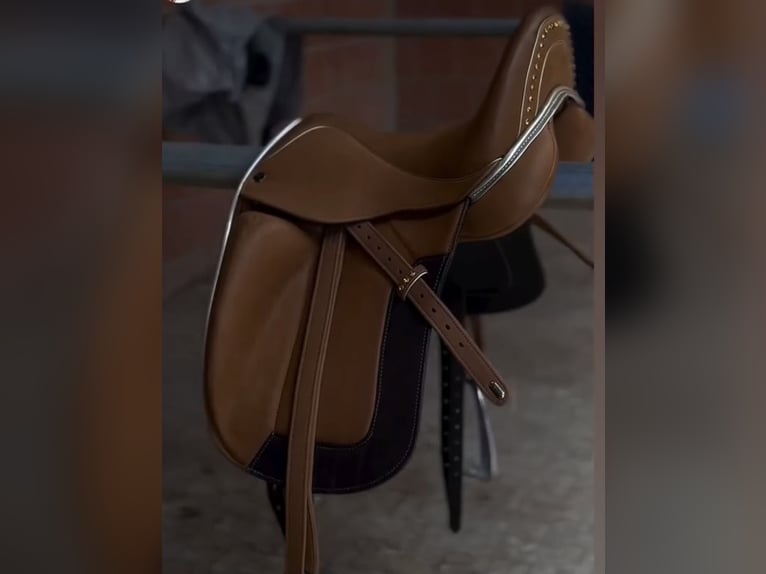 Louisa Koehne Dressursattel Pony Dressur Pferd