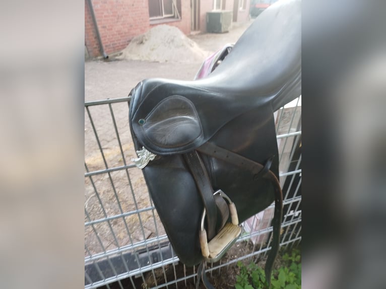 Pony Dressur Sattel stübben 