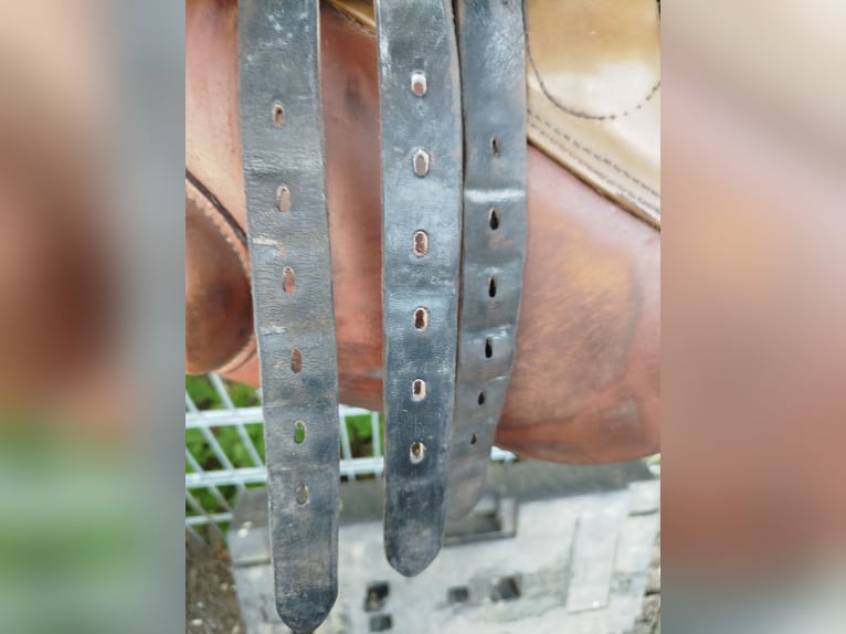 Pony Dressur Sattel stübben 