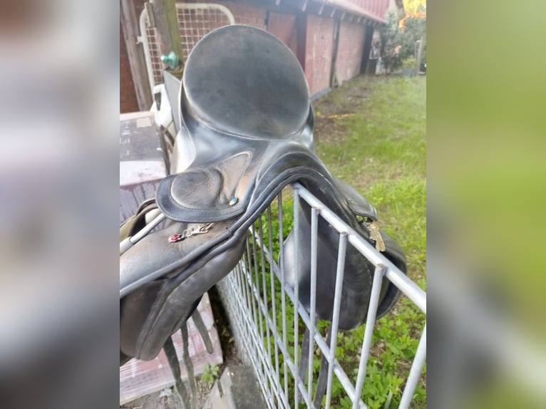 Pony Dressur Sattel stübben 