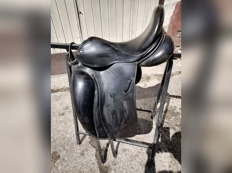 Pony dressursattel
