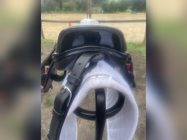 Ponysattel „Jumpy“ 14“ von Y you me and all NEUWERTIG