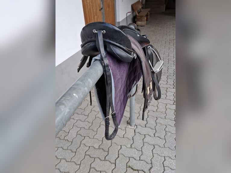 Ponysattel