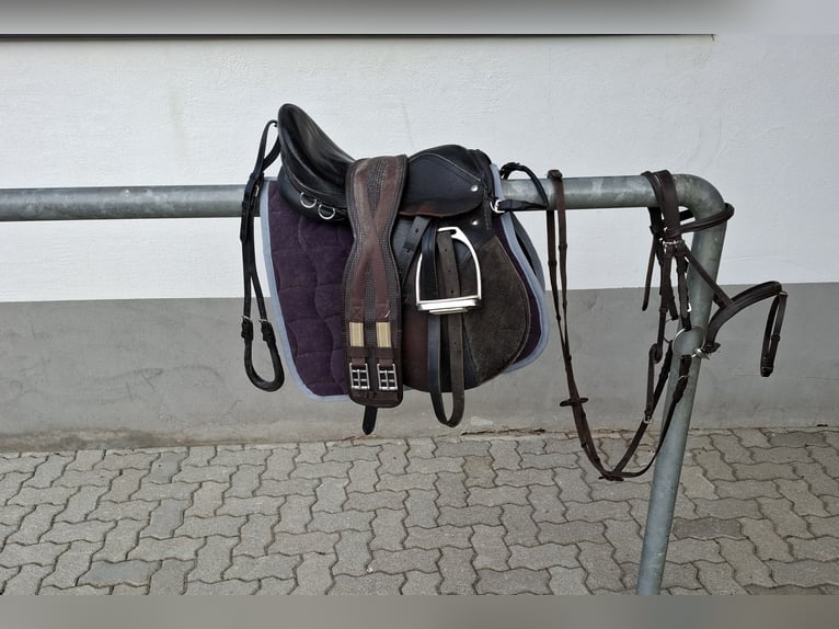 Ponysattel