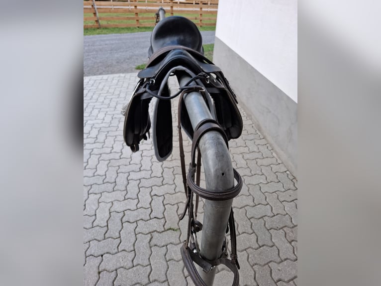 Ponysattel
