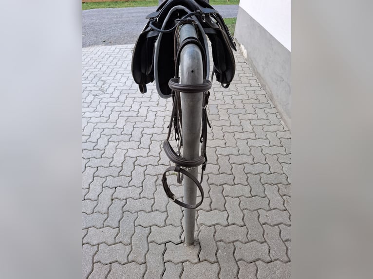 Ponysattel