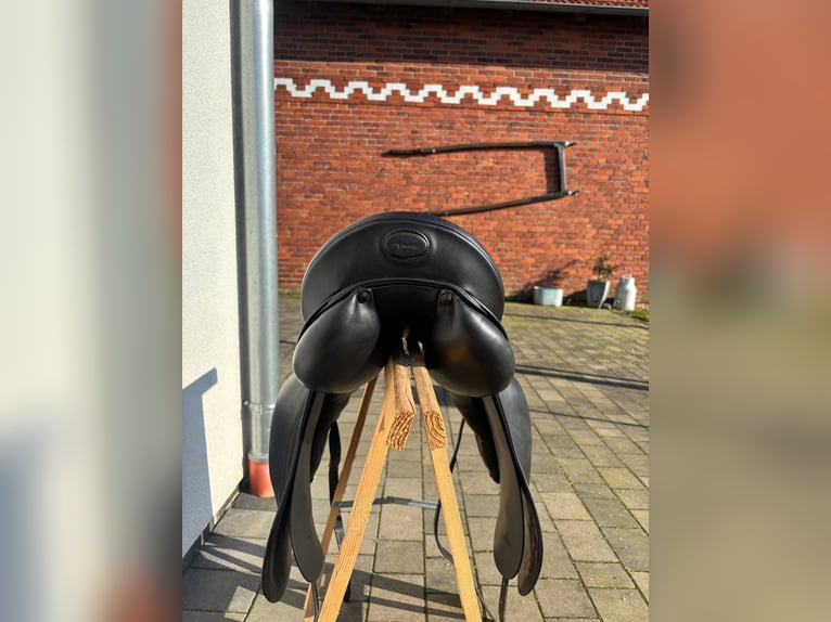 Prestige Dressage 16/33