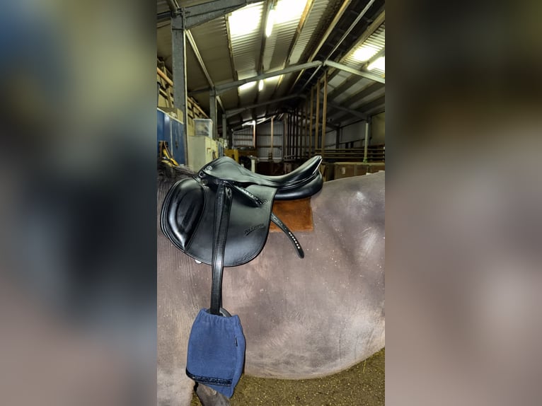 Prestige Joy Jumper 16 Zoll