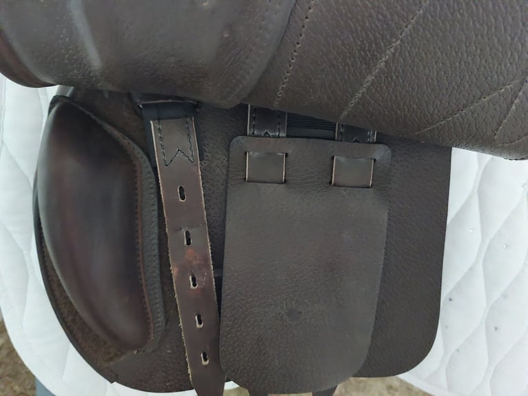 Springsattel 14,5 Equipe Rarity Grip Kissenlänge 38 cm Ponysattel TOP ZUSTAND