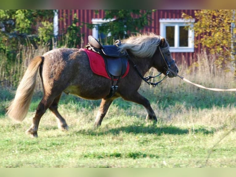 Trekker Pony Luxus Kammer und Sitz verstellbar mit klettbaren Kissen Ponysattel Leder