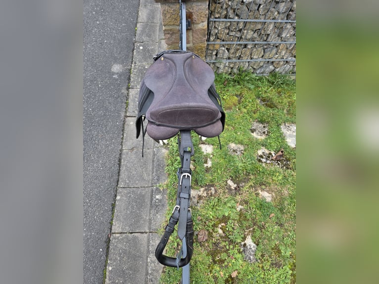VS-Sattel Wintec 250 Start 15 Zoll für Shetty / Pony mit Zubehör